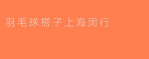 羽毛球搭子上海闵行