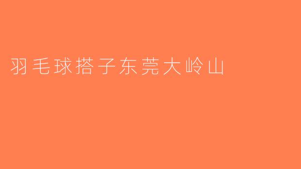 羽毛球搭子东莞大岭山