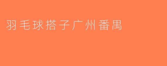 羽毛球搭子广州番禺