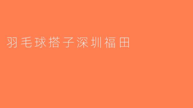 羽毛球搭子深圳福田