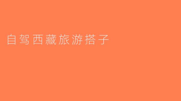 自驾西藏旅游搭子