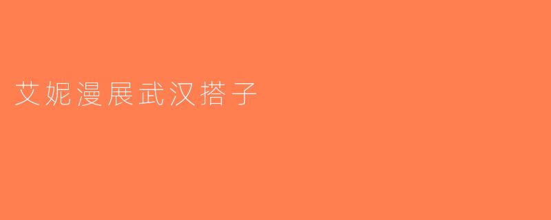 艾妮漫展武汉搭子