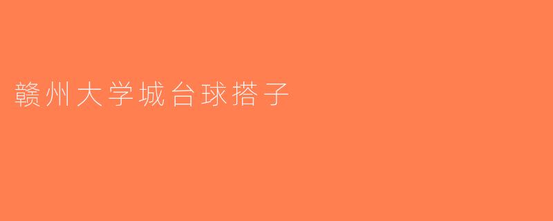 赣州大学城台球搭子
