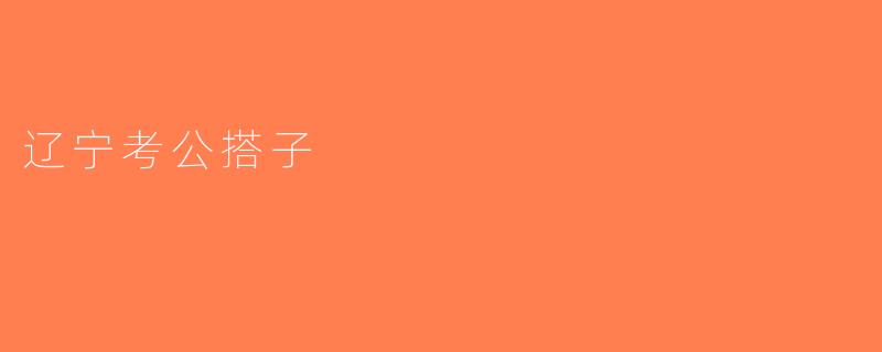 辽宁考公搭子