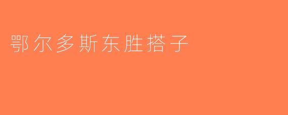 鄂尔多斯东胜搭子