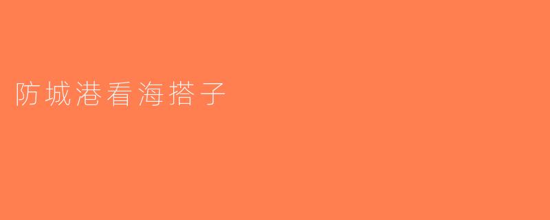 防城港看海搭子