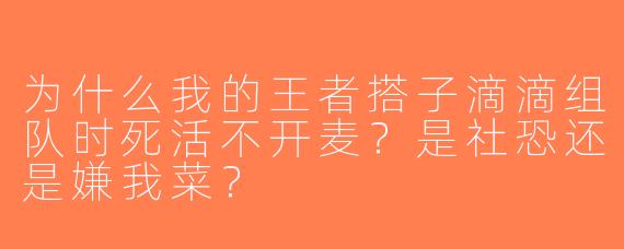 为什么我的王者搭子滴滴组队时死活不开麦？是社恐还是嫌我菜？