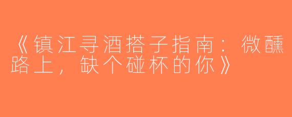 《镇江寻酒搭子指南：微醺路上，缺个碰杯的你》