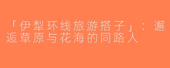 「伊犁环线旅游搭子」：邂逅草原与花海的同路人