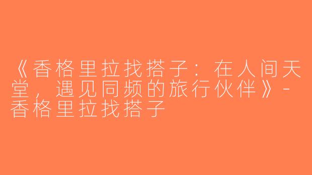 《香格里拉找搭子：在人间天堂，遇见同频的旅行伙伴》-香格里拉找搭子