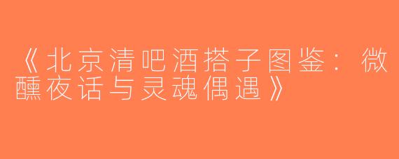 《北京清吧酒搭子图鉴：微醺夜话与灵魂偶遇》