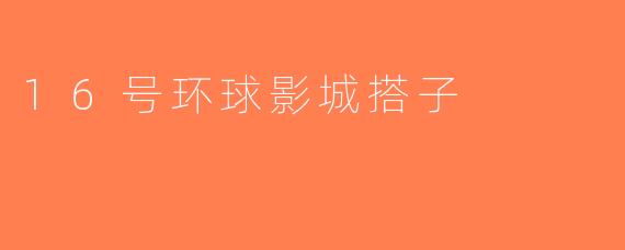 16号环球影城搭子