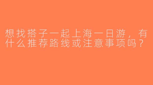 想找搭子一起上海一日游，有什么推荐路线或注意事项吗？