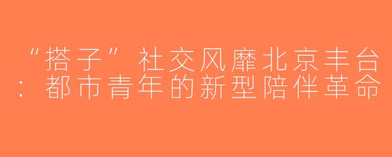 “搭子”社交风靡北京丰台：都市青年的新型陪伴革命