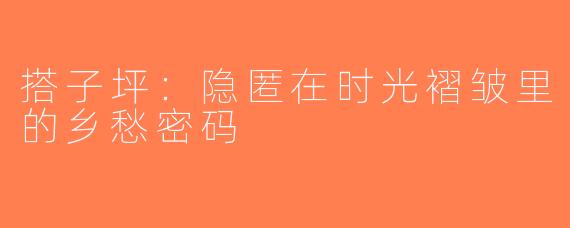 搭子坪：隐匿在时光褶皱里的乡愁密码