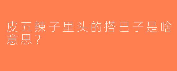 皮五辣子里头的搭巴子是啥意思？