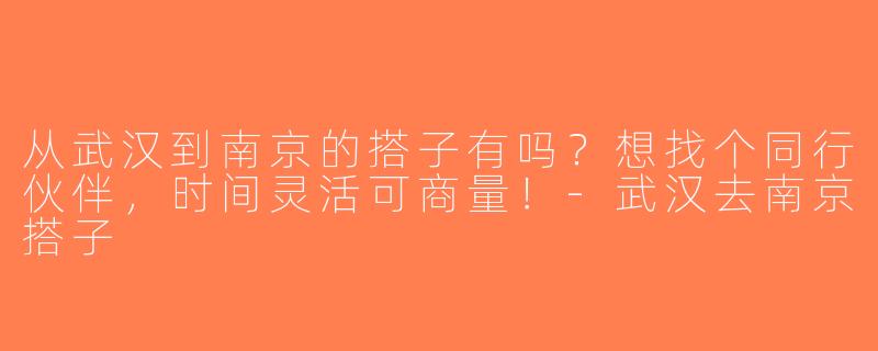 从武汉到南京的搭子有吗？想找个同行伙伴，时间灵活可商量！-武汉去南京搭子