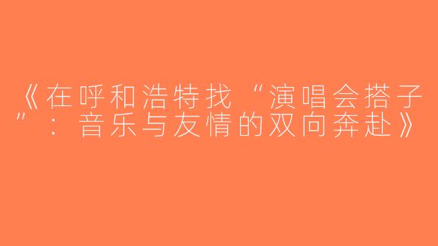 《在呼和浩特找“演唱会搭子”：音乐与友情的双向奔赴》