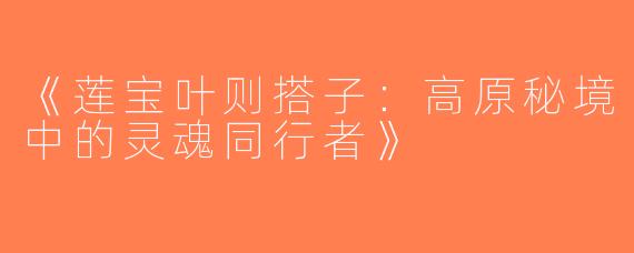 《莲宝叶则搭子：高原秘境中的灵魂同行者》