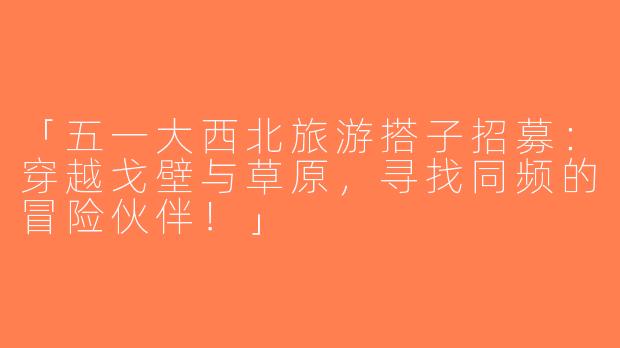 「五一大西北旅游搭子招募：穿越戈壁与草原，寻找同频的冒险伙伴！」