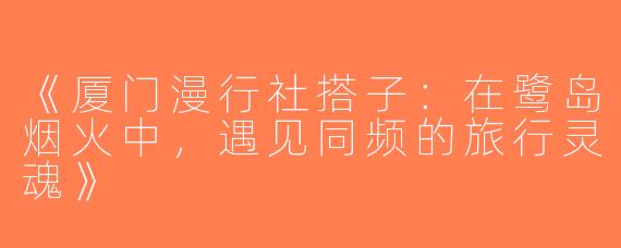 《厦门漫行社搭子：在鹭岛烟火中，遇见同频的旅行灵魂》