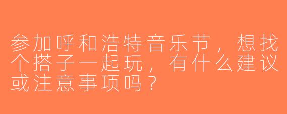 参加呼和浩特音乐节，想找个搭子一起玩，有什么建议或注意事项吗？
