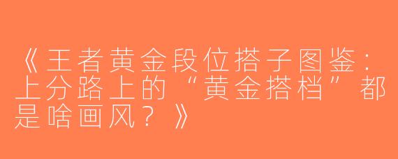 《王者黄金段位搭子图鉴：上分路上的“黄金搭档”都是啥画风？》