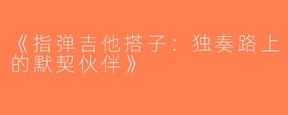 《指弹吉他搭子：独奏路上的默契伙伴》