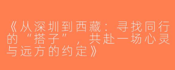 《从深圳到西藏：寻找同行的“搭子”，共赴一场心灵与远方的约定》