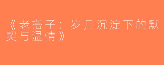 《老搭子：岁月沉淀下的默契与温情》