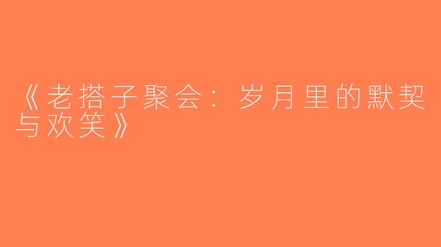 《老搭子聚会：岁月里的默契与欢笑》