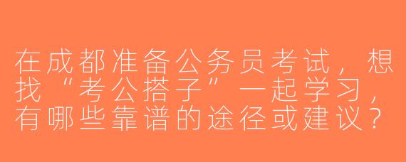 在成都准备公务员考试，想找“考公搭子”一起学习，有哪些靠谱的途径或建议？