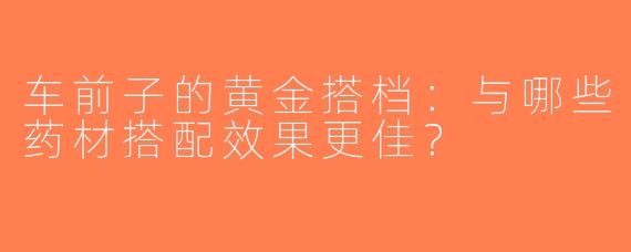 车前子的黄金搭档：与哪些药材搭配效果更佳？