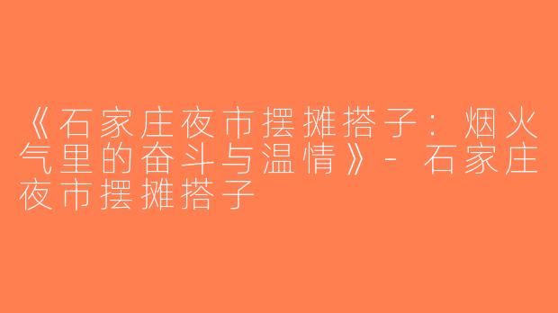 《石家庄夜市摆摊搭子：烟火气里的奋斗与温情》-石家庄夜市摆摊搭子