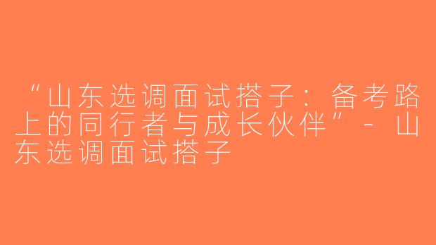 “山东选调面试搭子：备考路上的同行者与成长伙伴”-山东选调面试搭子