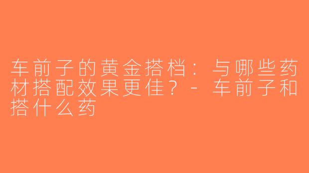 车前子的黄金搭档：与哪些药材搭配效果更佳？-车前子和搭什么药