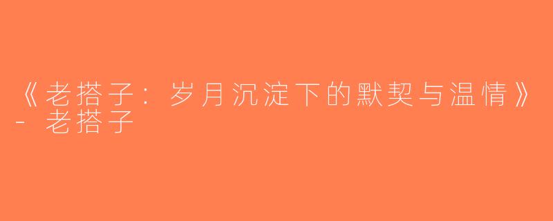 《老搭子：岁月沉淀下的默契与温情》-老搭子
