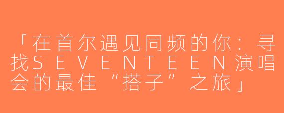 「在首尔遇见同频的你：寻找SEVENTEEN演唱会的最佳“搭子”之旅」