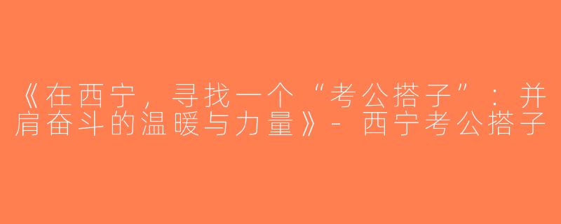 《在西宁，寻找一个“考公搭子”：并肩奋斗的温暖与力量》-西宁考公搭子