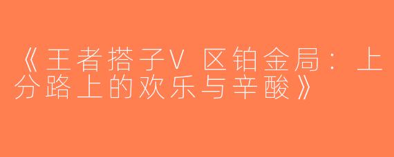 《王者搭子V区铂金局：上分路上的欢乐与辛酸》
