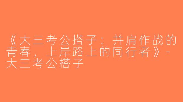 《大三考公搭子：并肩作战的青春，上岸路上的同行者》-大三考公搭子