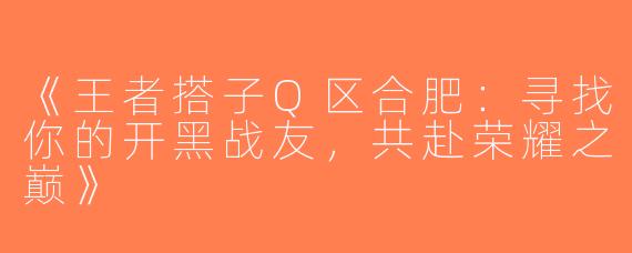 《王者搭子Q区合肥：寻找你的开黑战友，共赴荣耀之巅》