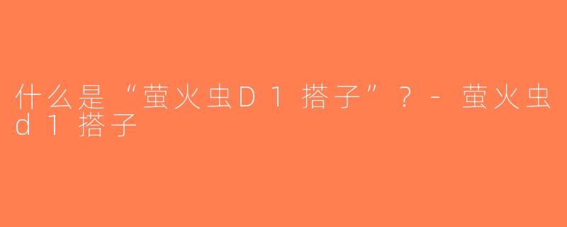 什么是“萤火虫D1搭子”？-萤火虫d1搭子