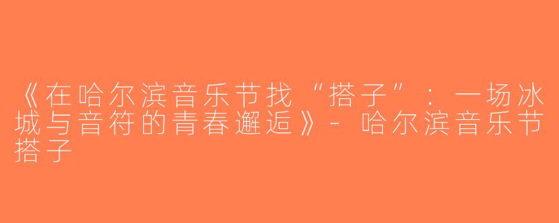《在哈尔滨音乐节找“搭子”：一场冰城与音符的青春邂逅》-哈尔滨音乐节搭子