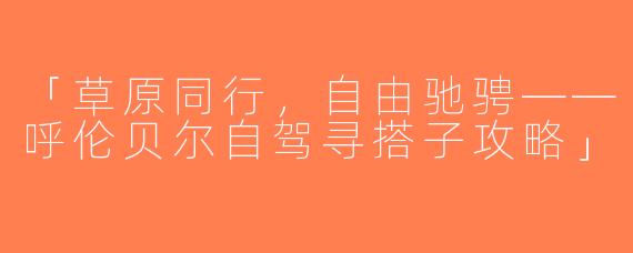 「草原同行，自由驰骋——呼伦贝尔自驾寻搭子攻略」