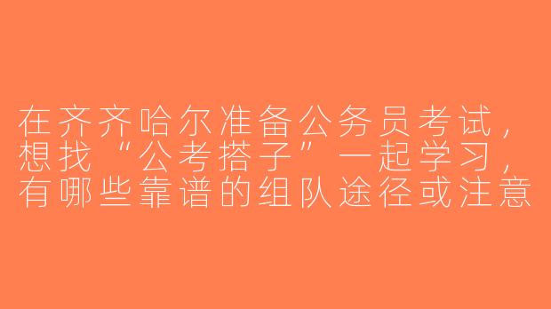在齐齐哈尔准备公务员考试，想找“公考搭子”一起学习，有哪些靠谱的组队途径或注意事项？