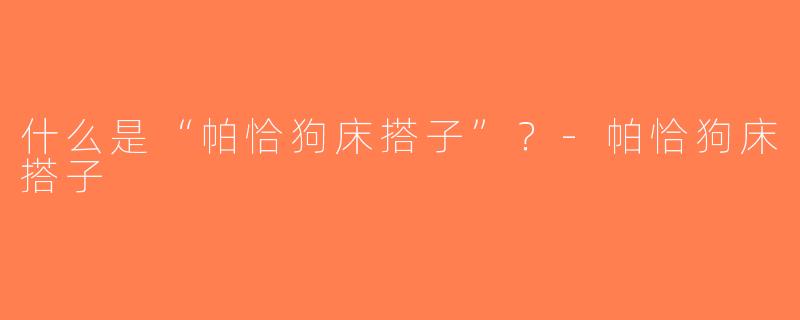 什么是“帕恰狗床搭子”？-帕恰狗床搭子