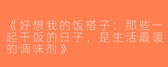 《好想我的饭搭子：那些一起干饭的日子，是生活最暖的调味剂》