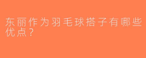 东丽作为羽毛球搭子有哪些优点？