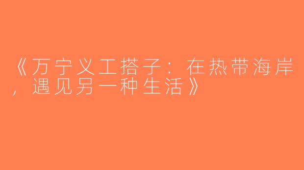 《万宁义工搭子：在热带海岸，遇见另一种生活》